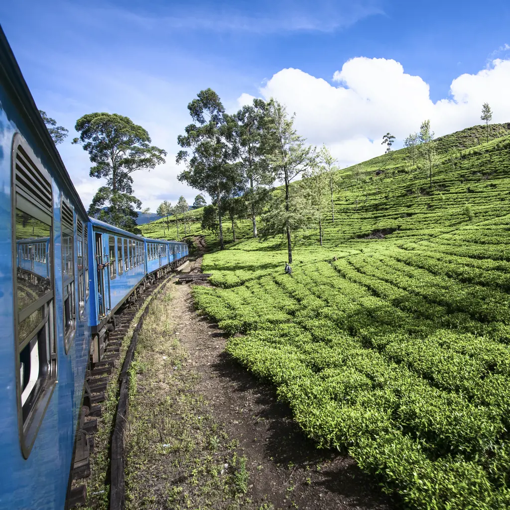 Familienreisen Sri Lanka